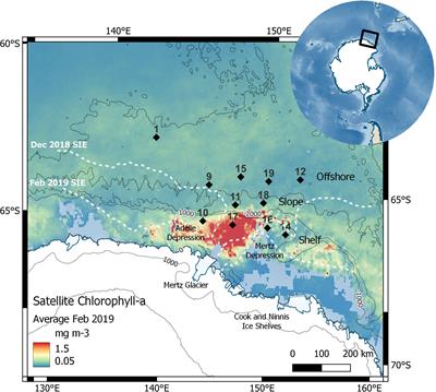 Identifying potential sources of iron-binding ligands in coastal Antarctic environments and the wider Southern Ocean